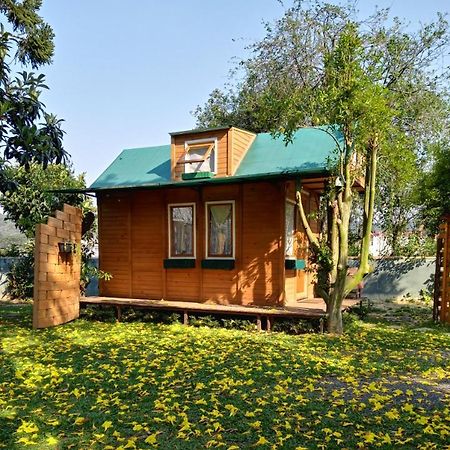מלון קמפו אלגרה Mini House Park מראה חיצוני תמונה