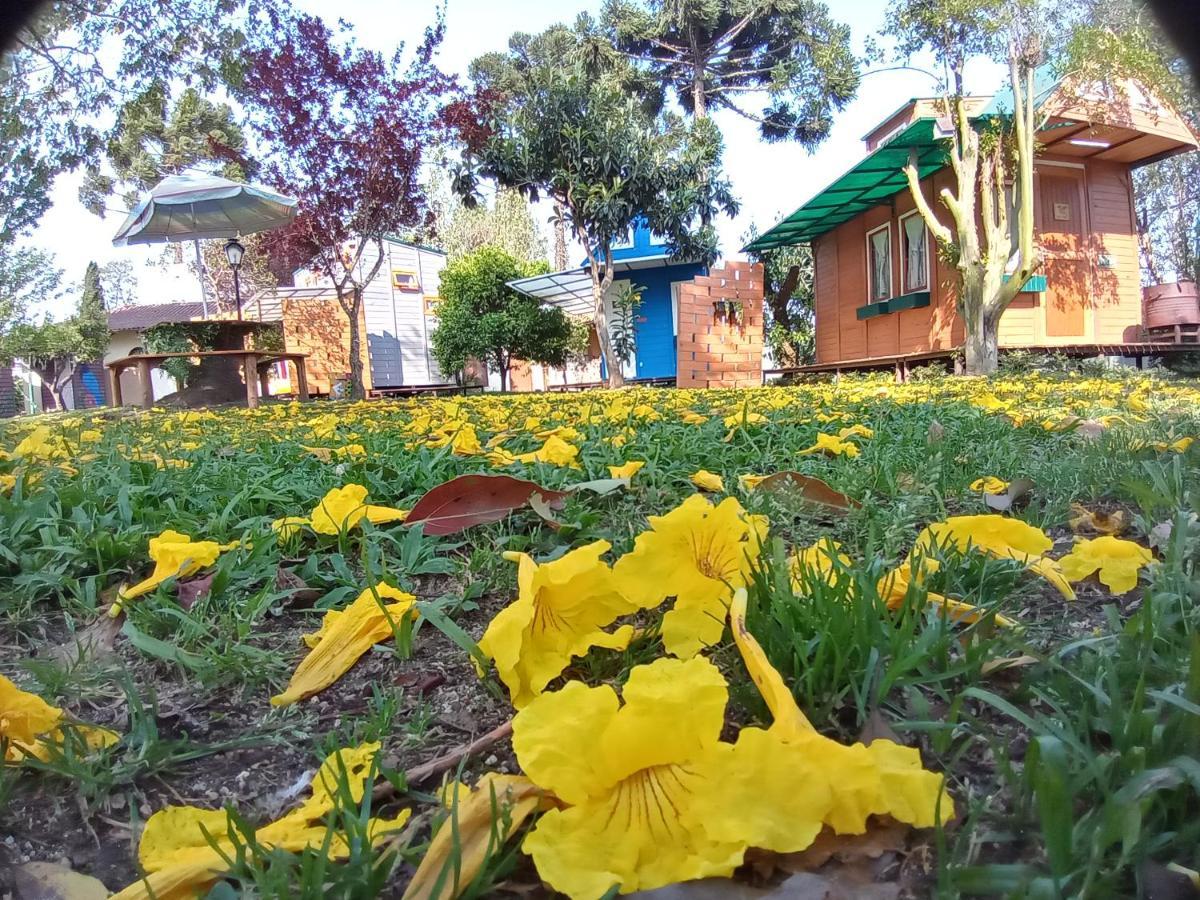 מלון קמפו אלגרה Mini House Park מראה חיצוני תמונה