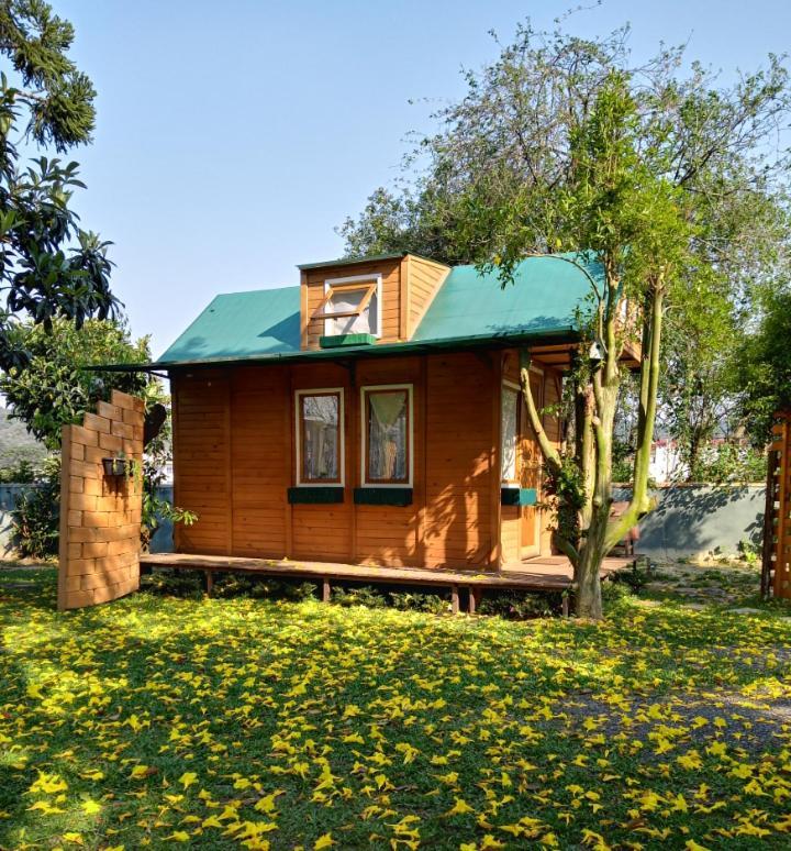 מלון קמפו אלגרה Mini House Park מראה חיצוני תמונה