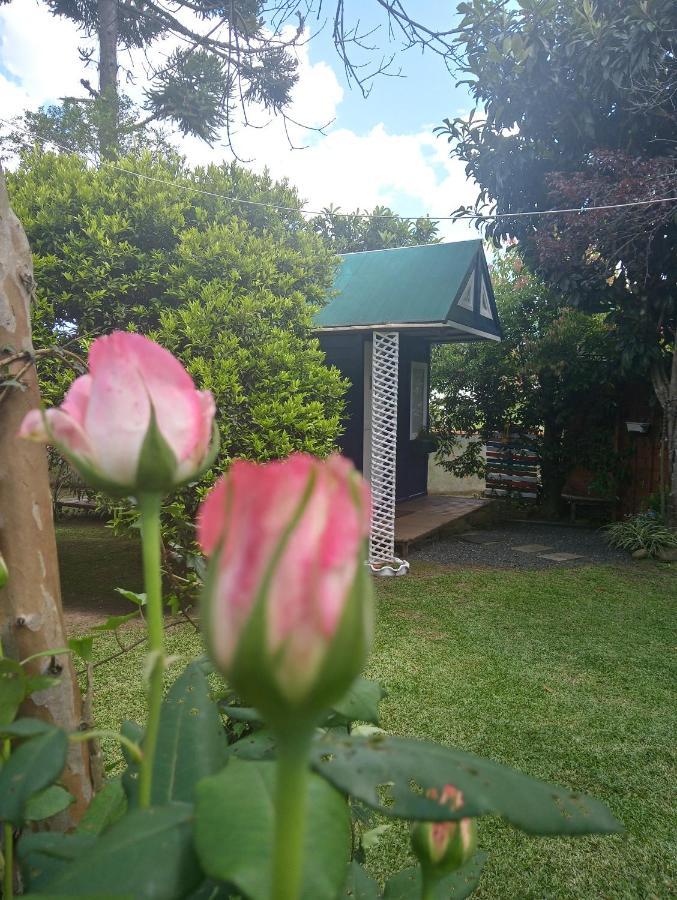 מלון קמפו אלגרה Mini House Park מראה חיצוני תמונה